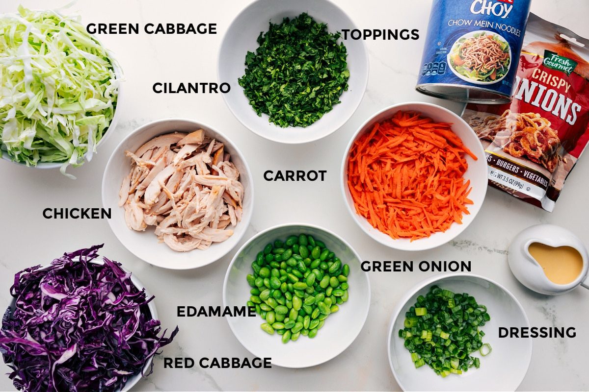 All the ingredients in this recipe prepped and ready for straightforward assembly: green cabbage, red cabbage, carrots, cilantro, chicken, edamame, toppings, chow mein noodles, crispy onions, and dressing.
