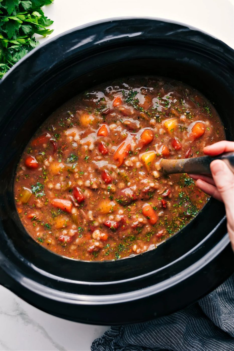 Slow Cooker Beef plus Barley Soup