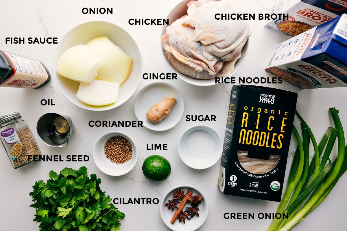All the ingredients in this recipe prepped out for straightforward assembly including the fish sauce, oil, fennel seed, cilantro, onion, coriander, chicken, ginger, lime, sugar, rice noodles, green onion, and chicken broth.
