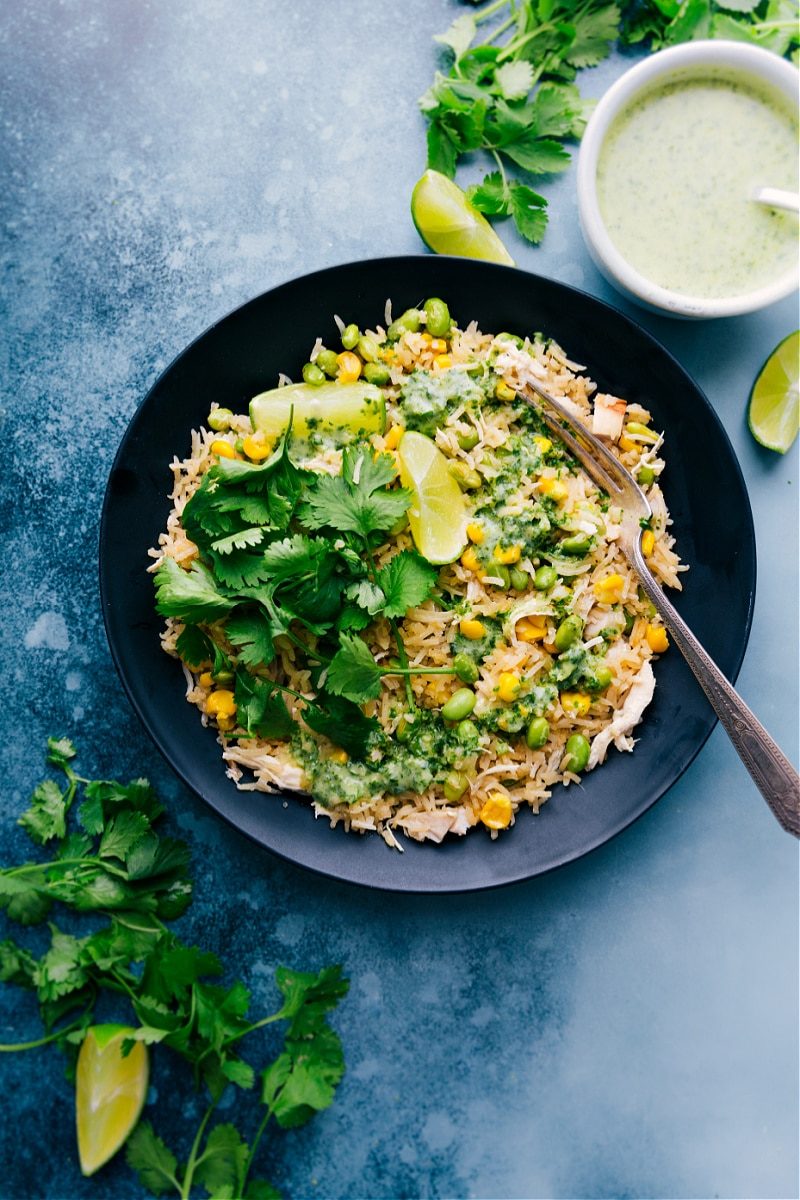 Plate of the dish with fresh cilantro and limes served with a fork.