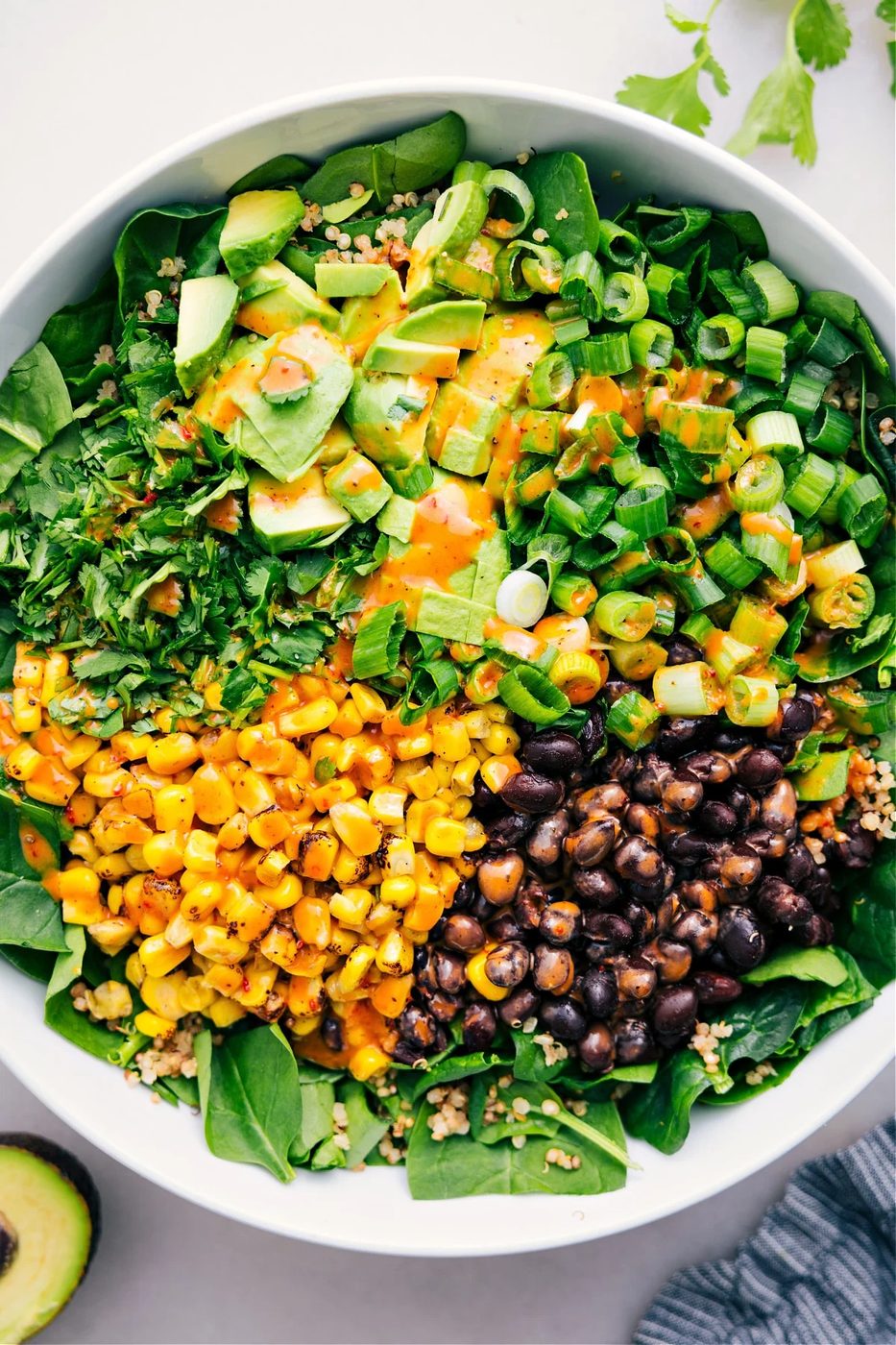 Quinoa Corn Salad from the Pot
