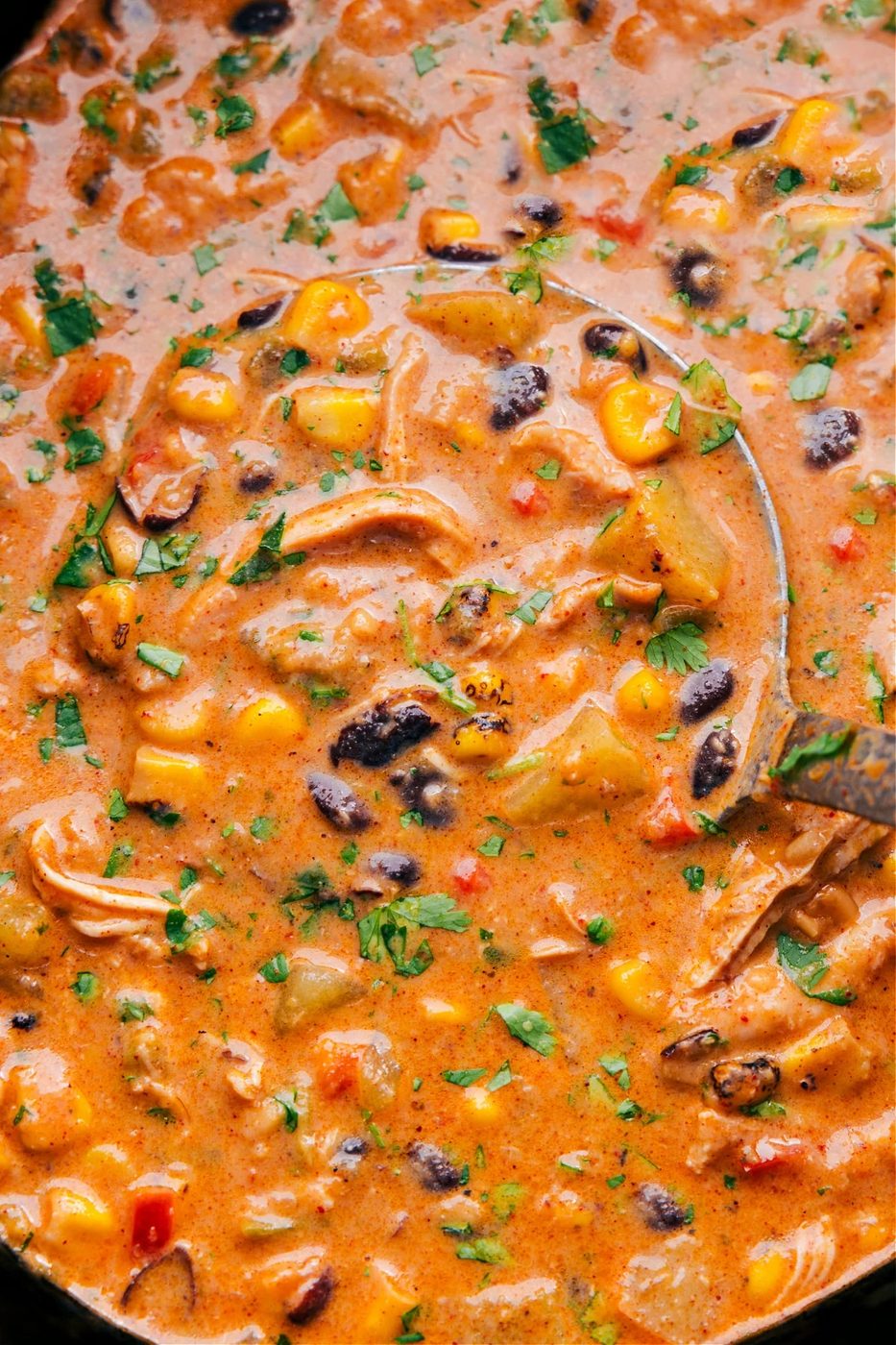 Creamy Southwest Corn Chowder with chicken, fire-roasted corn, beans, peppers, and fresh herbs.