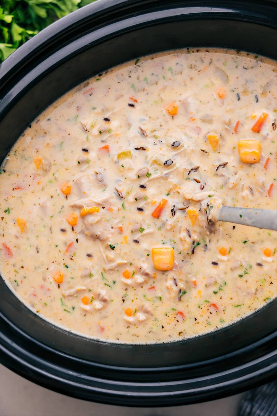 Slow Cooker Chicken Recipes