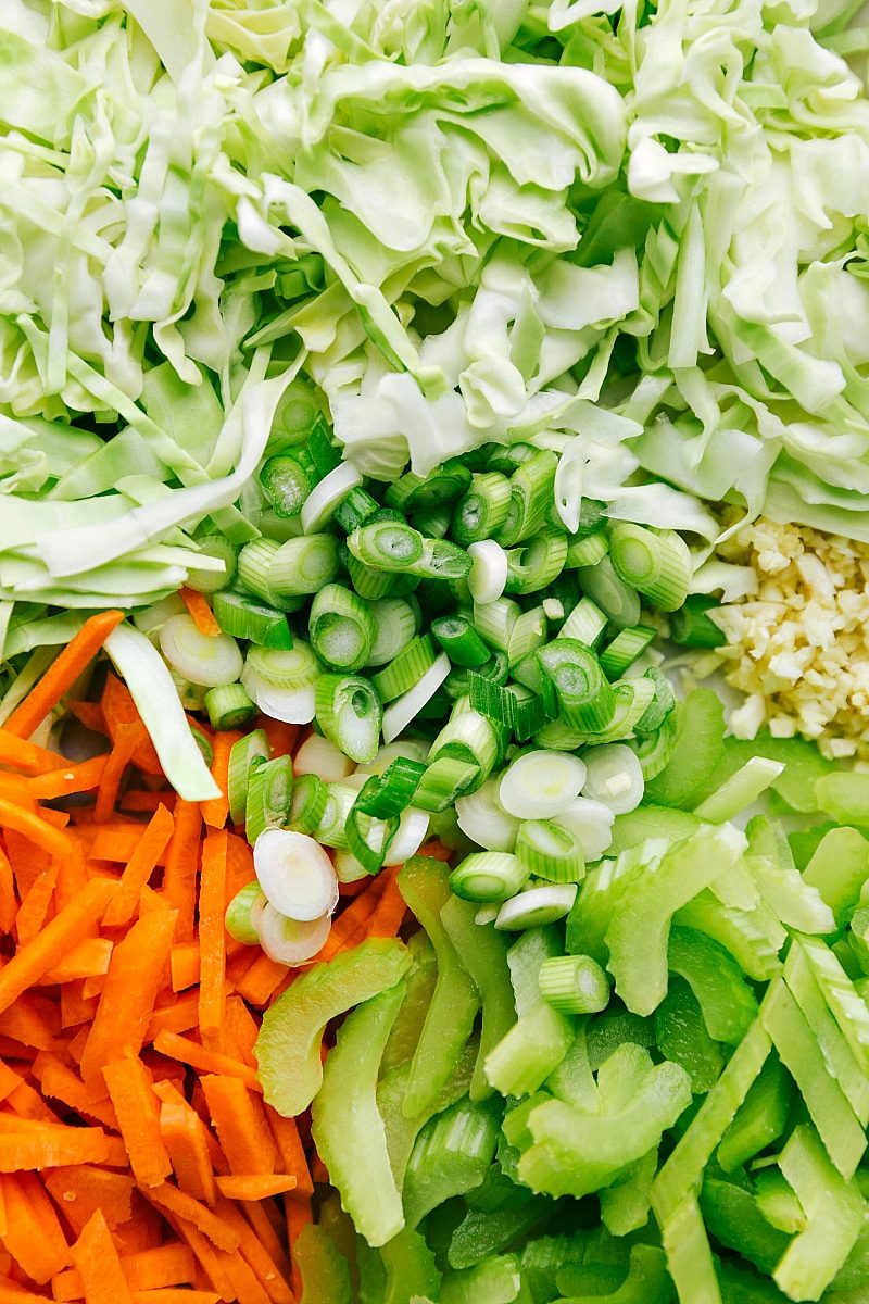 Freshly chopped vegetables ready to be added to the chicken chow mein, including cilantro, carrots, green onions, and cabbage.