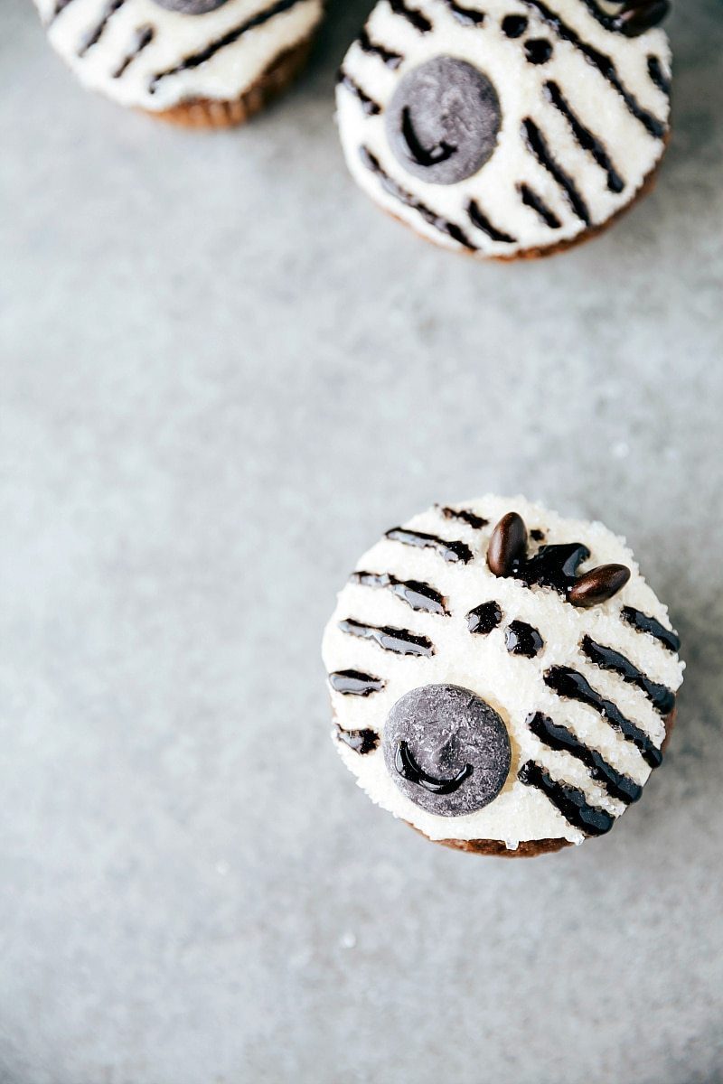 straightforward JUNGLE CUPCAKES! Four simple and straightforward to make animal jungle cupcakes -- a zebra, monkey, tiger, and a panda. via flexfa.com