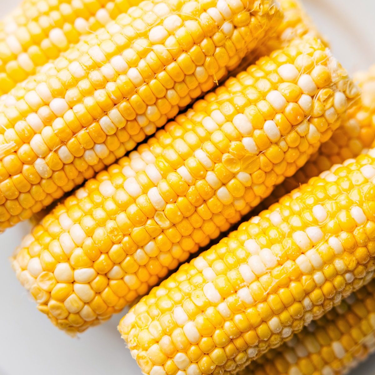Fresh corn for this elote recipe, shucked and ready to cook.