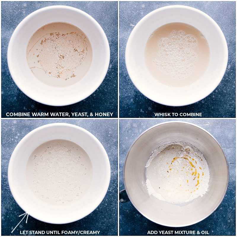 Process shots of the French Bread-- images of the yeast, warm water, honey; rising; oil being added to the mixture