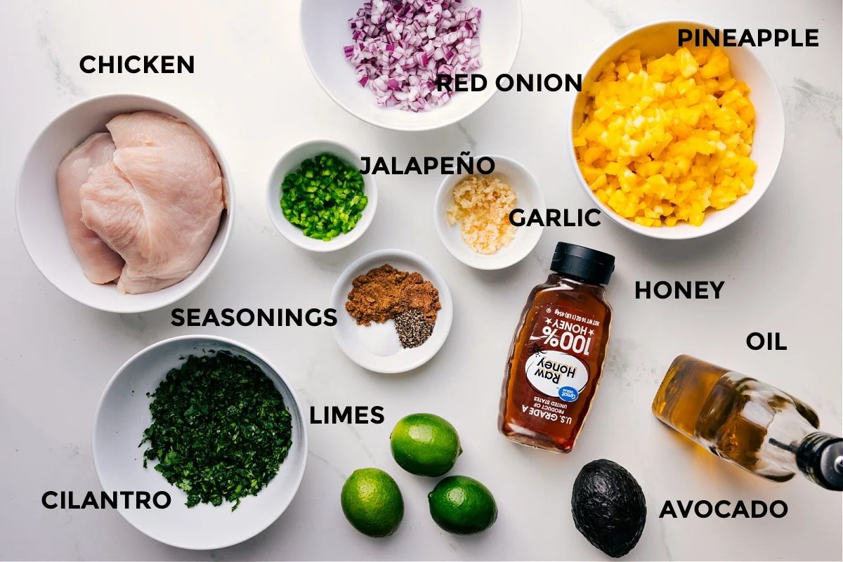 All the ingredients prepped for straightforward assembly: meat, red onion, pineapple, jalapeño, garlic, honey, oil, avocado, limes, seasonings, and cilantro.