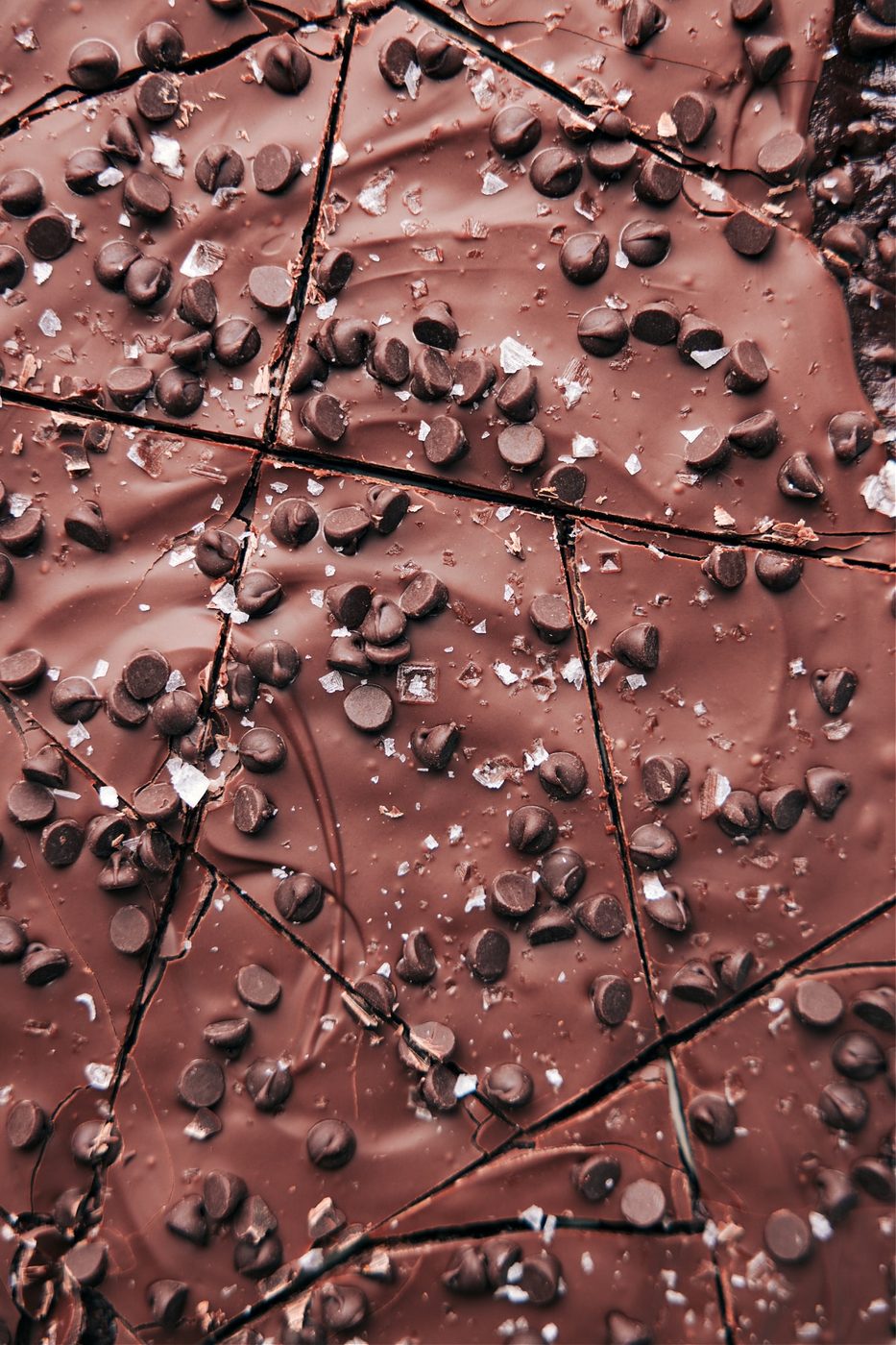 The dessert cut into squares for a lively bark recipe.