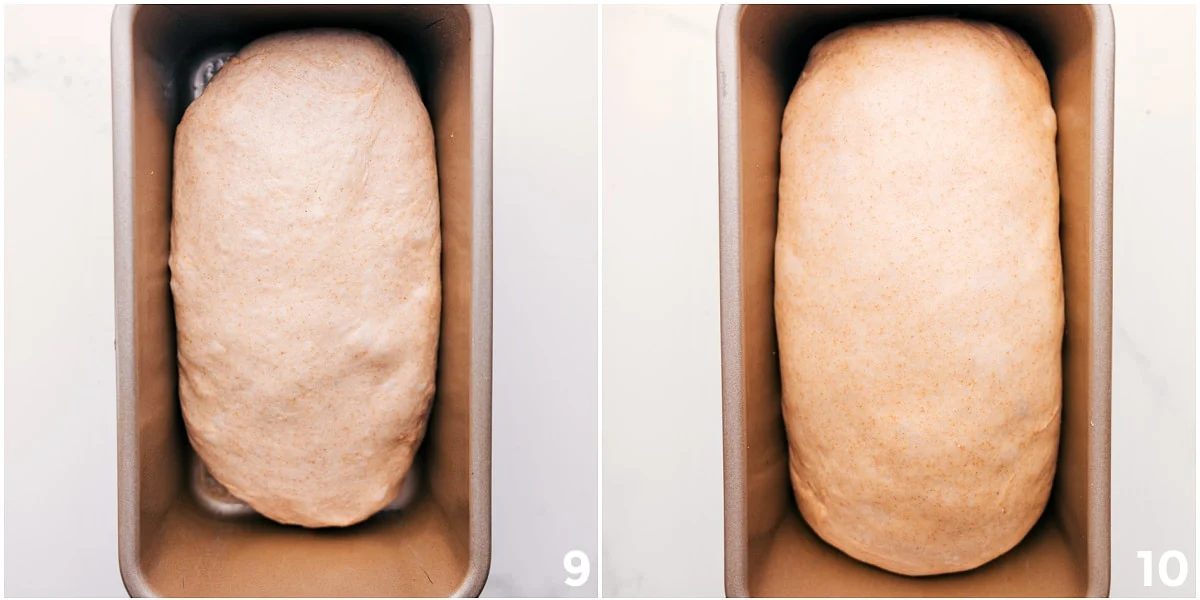 The dough doing it's final rise in the bread pans.