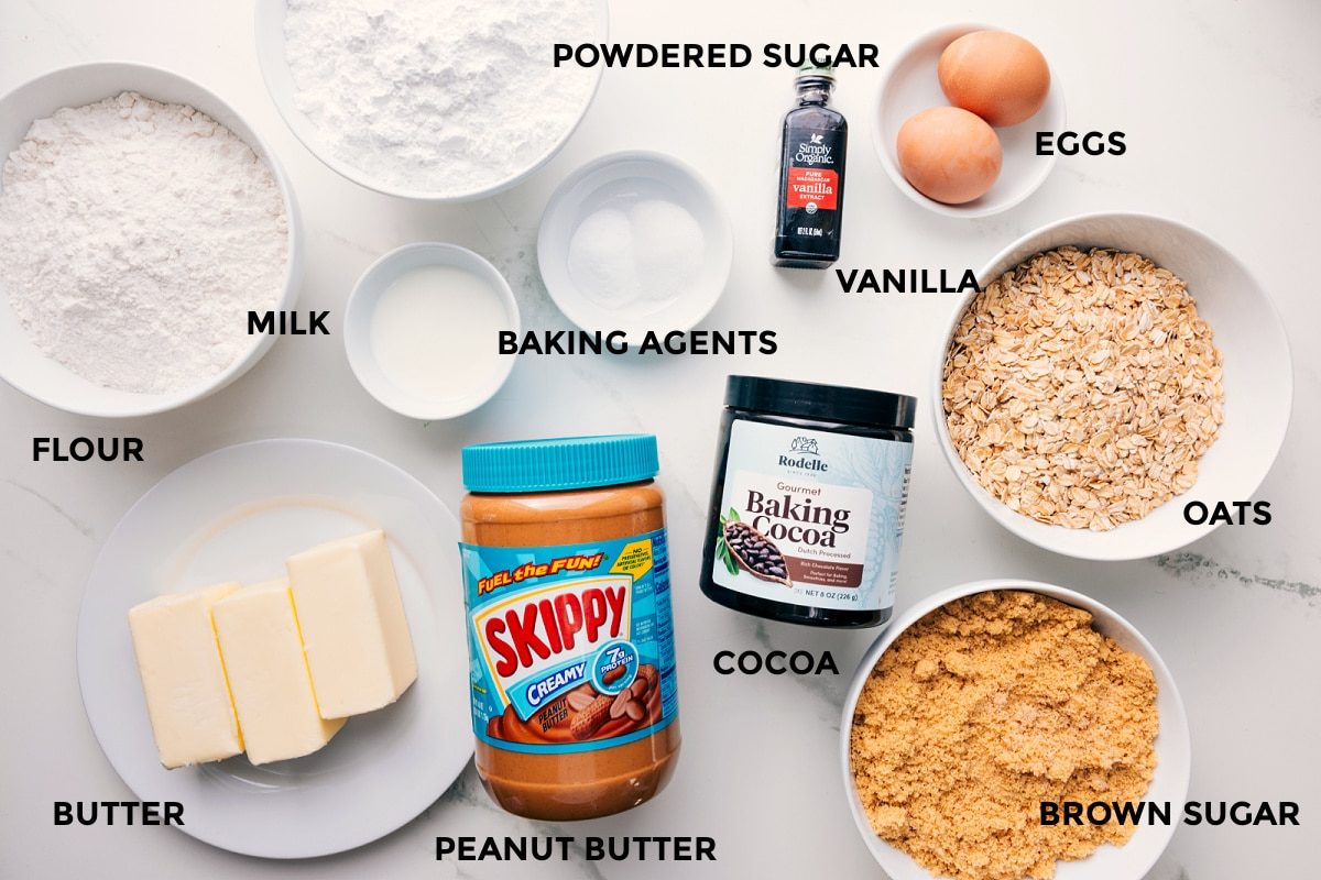 All the ingredients in this recipe prepped out for straightforward assembly including the flour, milk, butter, peanut butter, baking agents, vanilla, powdered sugar, eggs, oats, brown sugar, and cocoa.