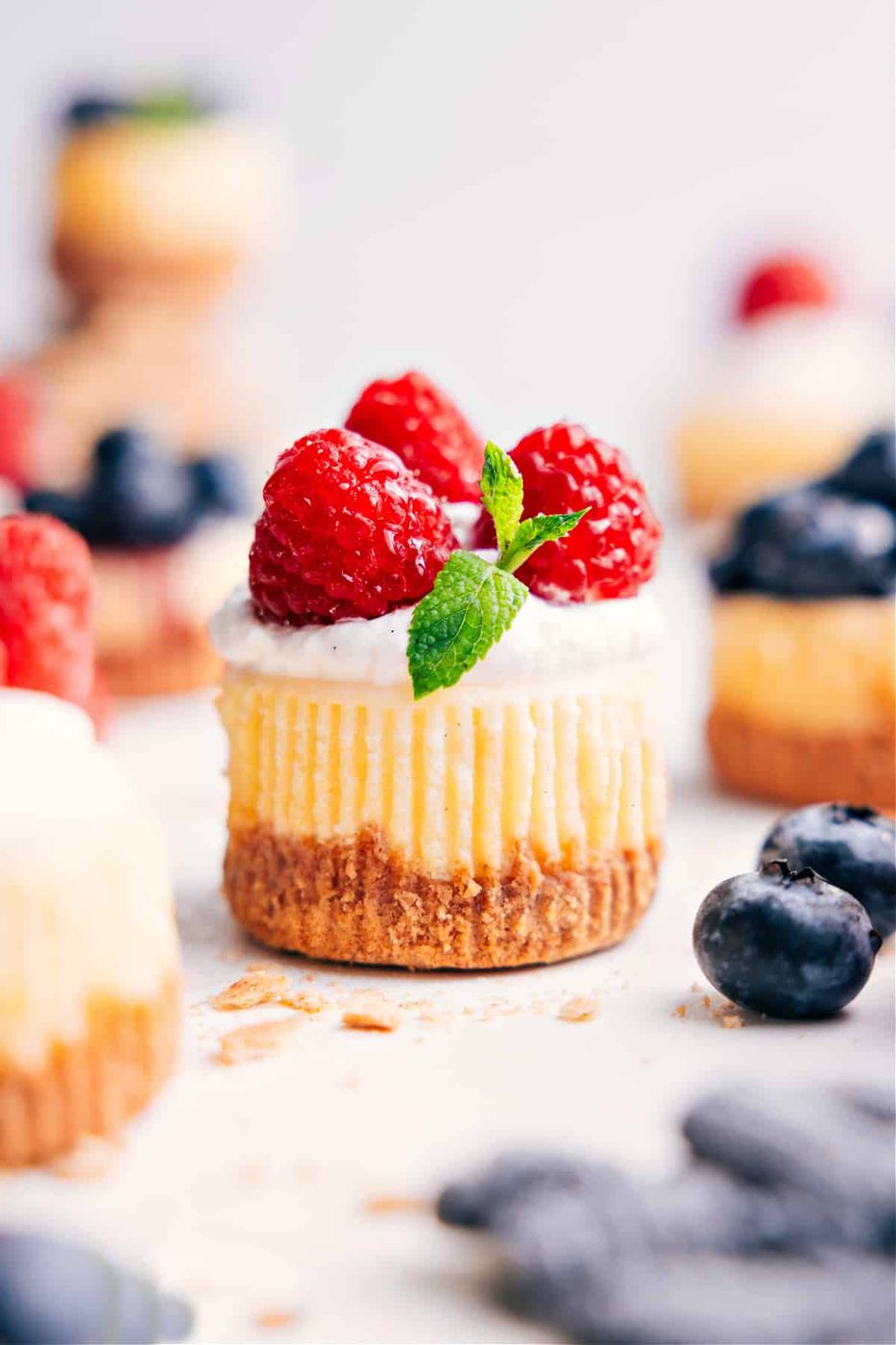 Mini Cheesecake