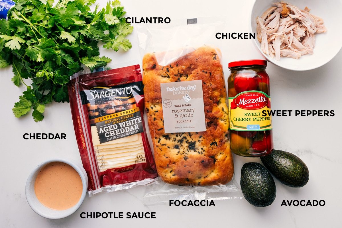 All the ingredients in this recipe prepped out for straightforward assembly including the cilantro, cheddar, chipotle sauce, focaccia, avocado, sweet peppers, and chicken.