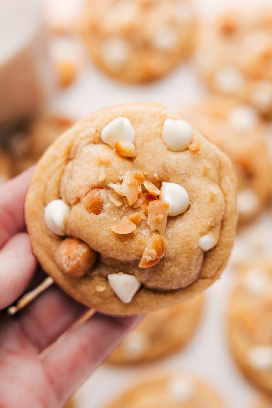 Recipe For Macadamia Nut White Chocolate Cookies for the Table