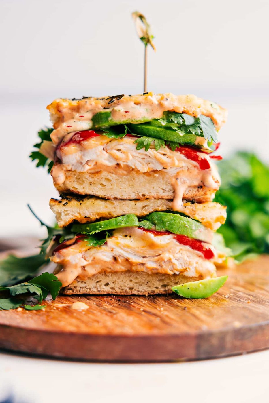 Chipotle chicken avocado sandwich recipes with tender chicken, avocado, cheese, and smoky chipotle sauce.