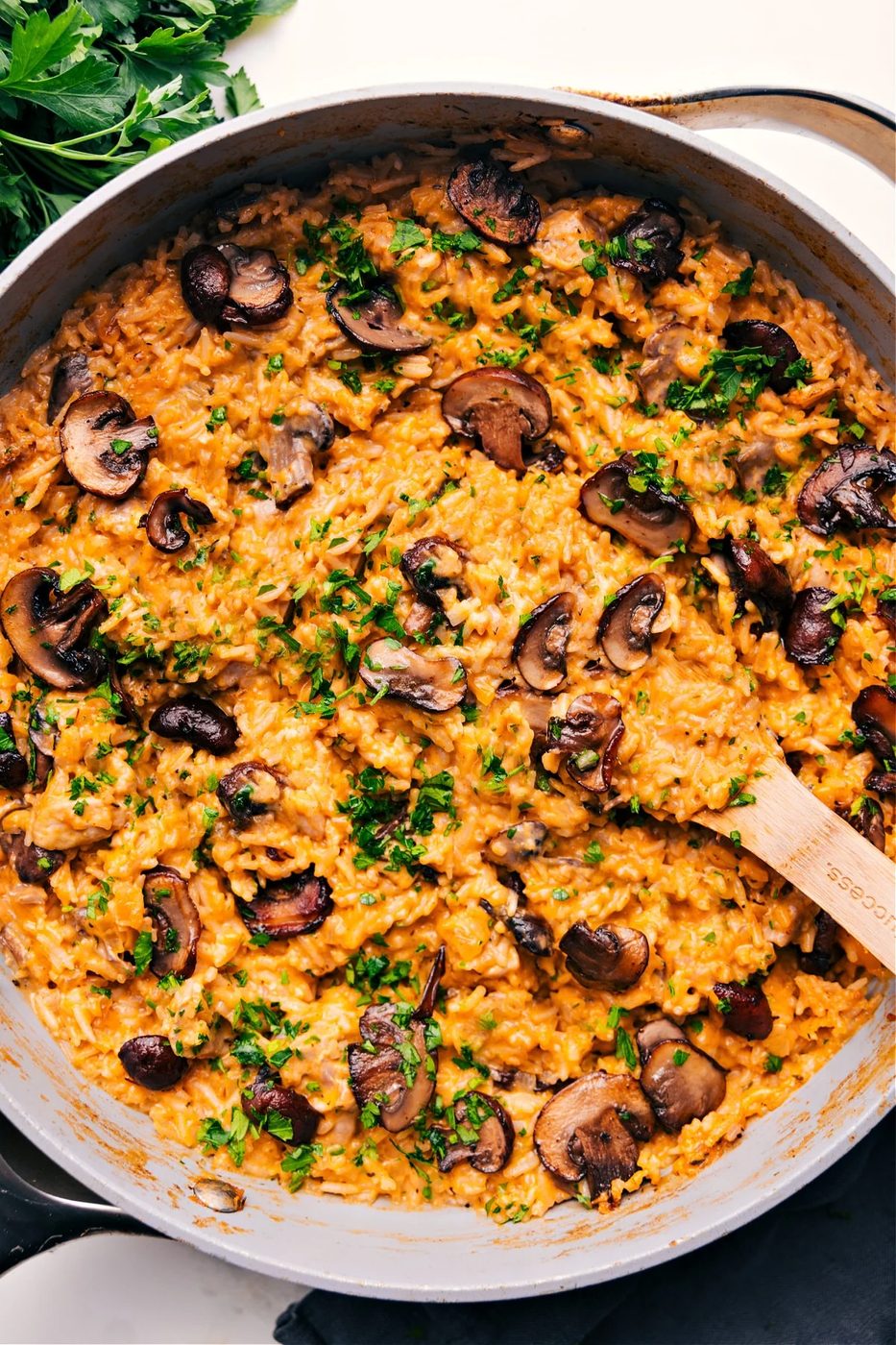 Smothered Chicken plus Rice