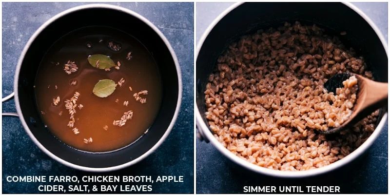 Process shots: combine ingredients and simmer farro until tender.
