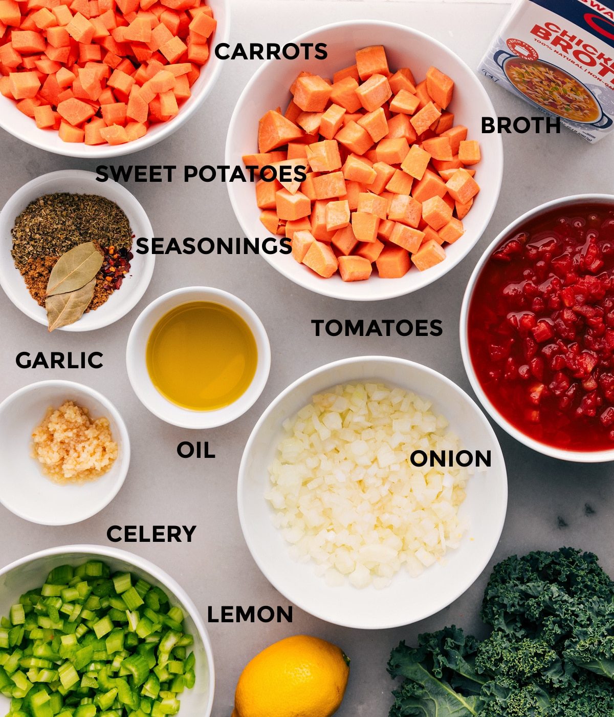 All the ingredients in this recipe are prepped and ready for straightforward assembly—veggies, tomatoes, lemon, garlic, seasonings, and broth.