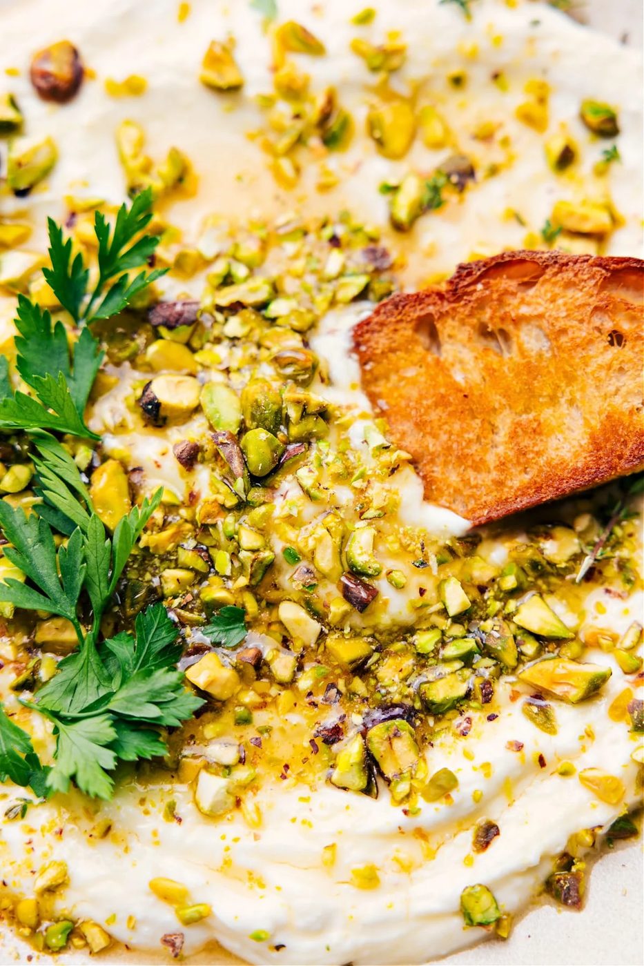 Whipped Feta Recipe with a toasted cracker dipping in.