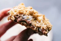 Gooey S’mores Bar Delights
