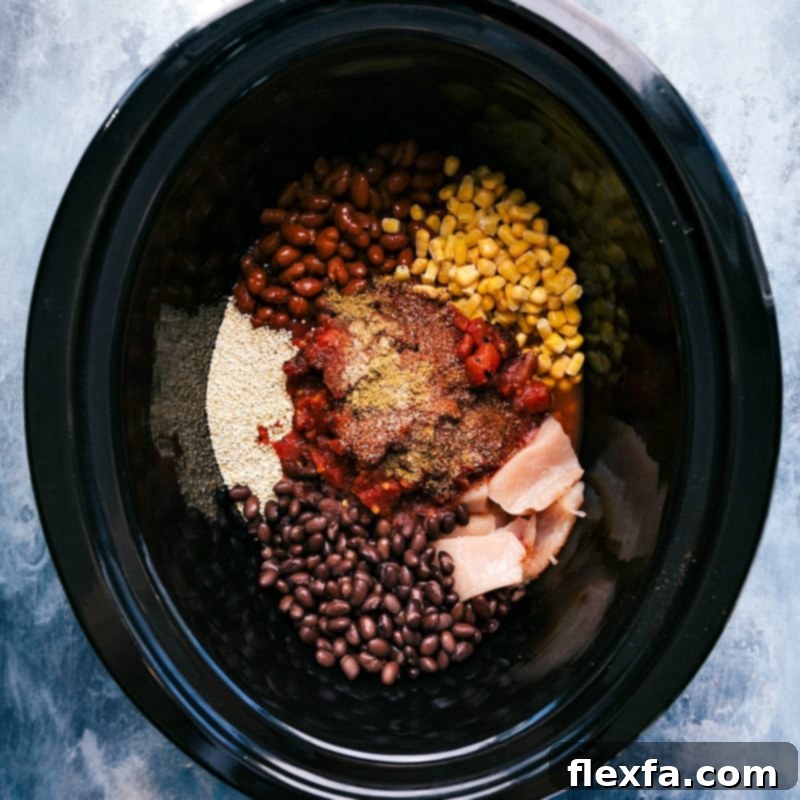 All ingredients for the warm and delicious meal in the slow cooker, ready to be cooked.