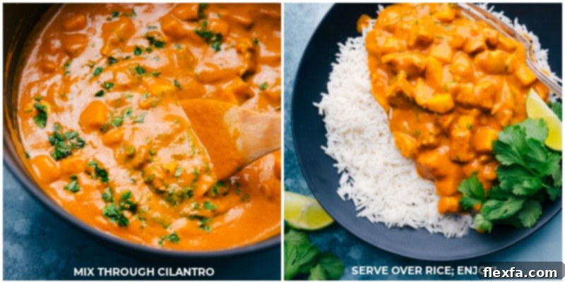 A close-up image of a serving of Mango Chicken Curry over basmati rice, beautifully garnished with fresh cilantro, ready to be enjoyed.