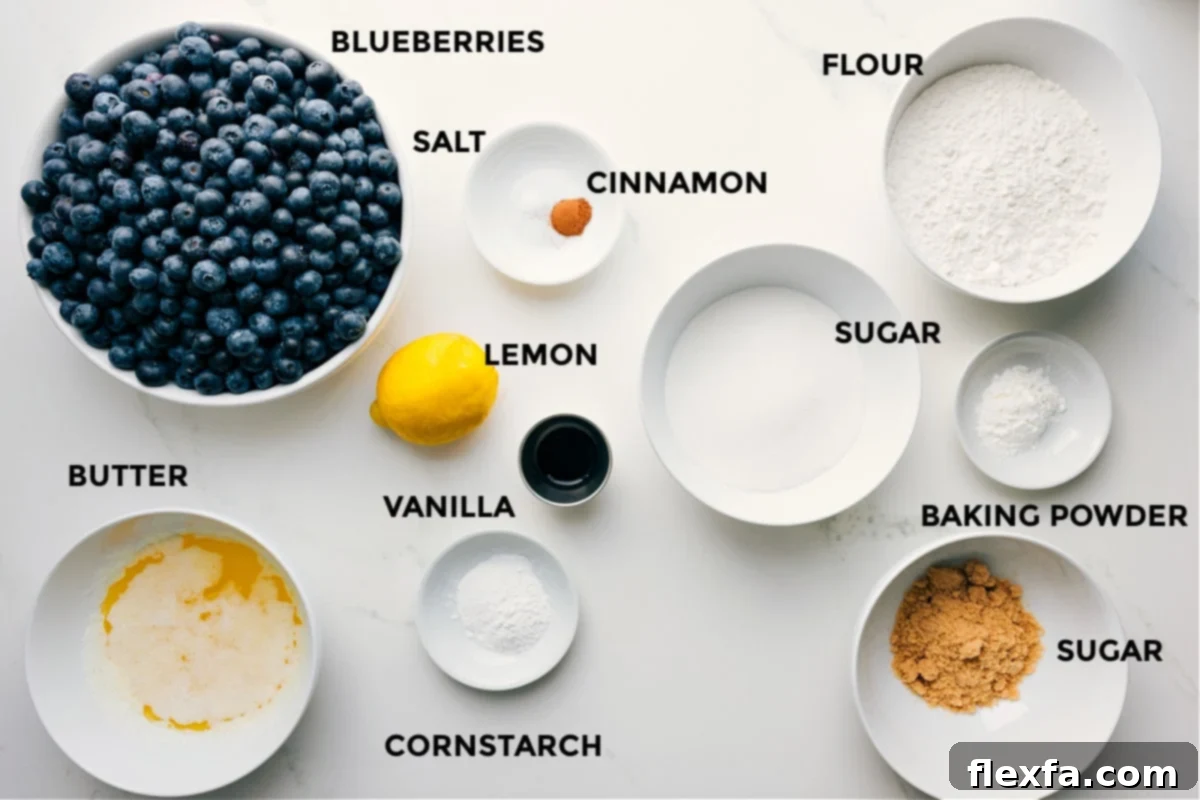 A flat lay image showing all the essential ingredients for blueberry cobbler carefully prepped and laid out: vibrant fresh blueberries, fine salt, aromatic cinnamon, all-purpose flour, granulated sugar, baking powder, cornstarch, a bright lemon, rich vanilla extract, and cold butter.