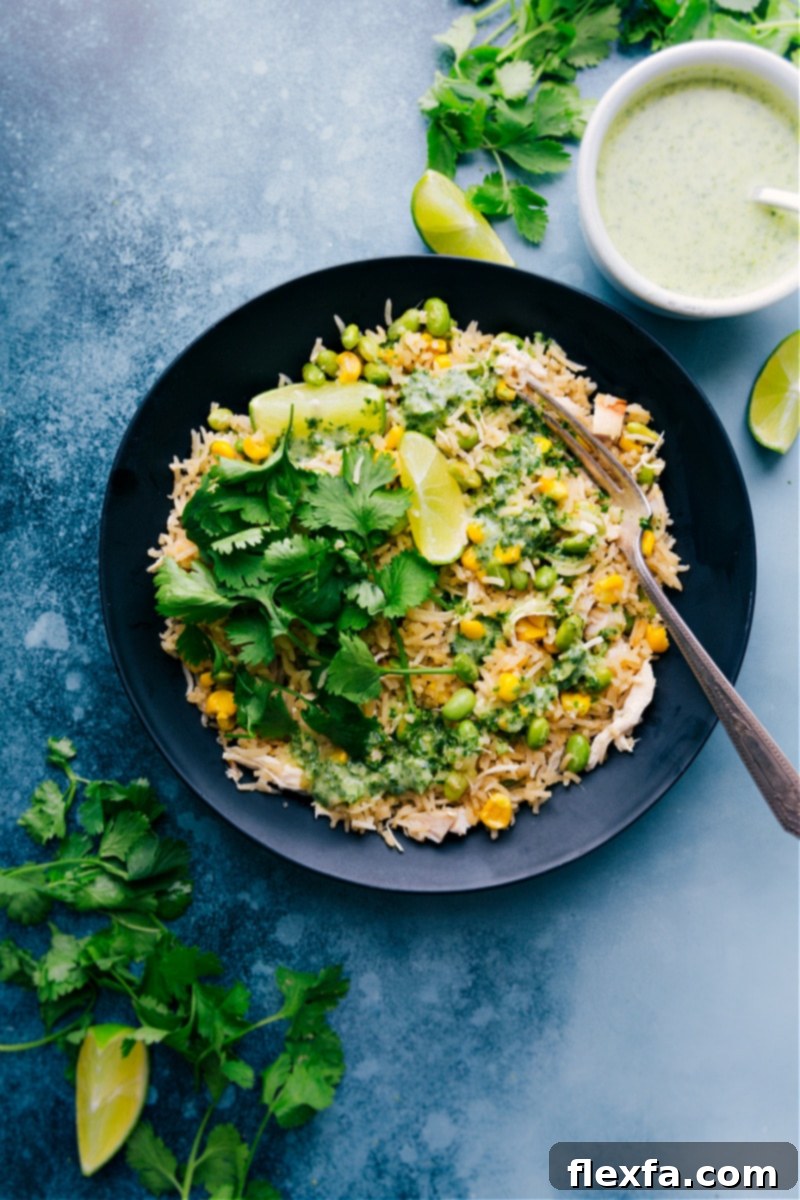 A perfectly portioned plate of the most delicious and comforting Coconut Chicken and Rice, ready to be enjoyed. A beautifully plated individual serving of Creamy Coconut Chicken and Rice, presented with a fork, highlighting its creamy texture and fresh, vibrant garnishes.