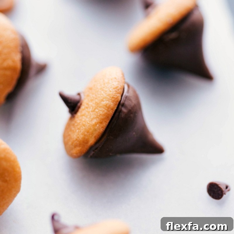 Festive acorns delightfully crafted with smooth chocolate kisses and crunchy vanilla wafers, a charming addition to any holiday treat platter.