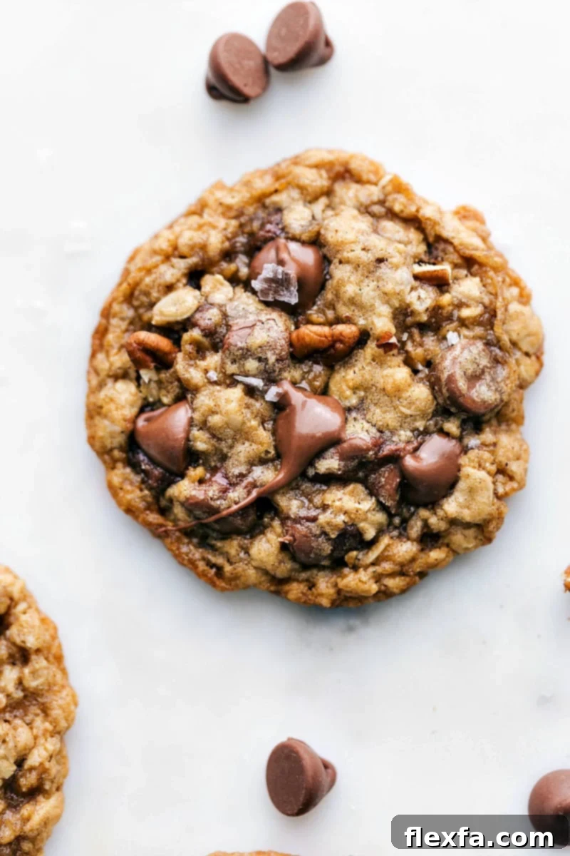 Oatmeal Pecan Cookie - Freshly Baked Delight Freshly baked and delicious oatmeal pecan cookie with melted chocolate chips on top, a sprinkle of fresh sea salt, and baked pecans. Captured with a focus on its crisp edges and chewy texture.