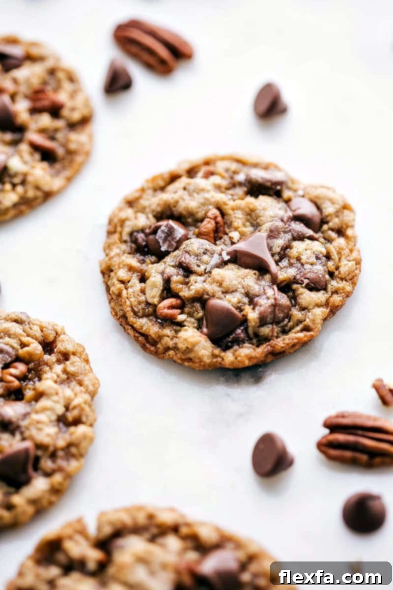 Freshly Baked Oatmeal Pecan Cookies - Ready to Enjoy A beautifully arranged plate of freshly baked oatmeal pecan cookies, golden brown and ready to be enjoyed straight out of the oven, showcasing their delicious and complementary flavors.