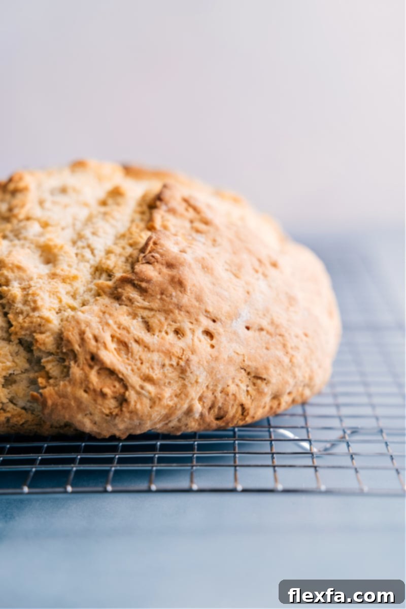 A freshly baked No-Yeast Bread loaf, still warm and golden, just out of the oven.