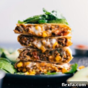 Spiced Beef Quesadilla Delight 2 Ground Beef Quesadillas
