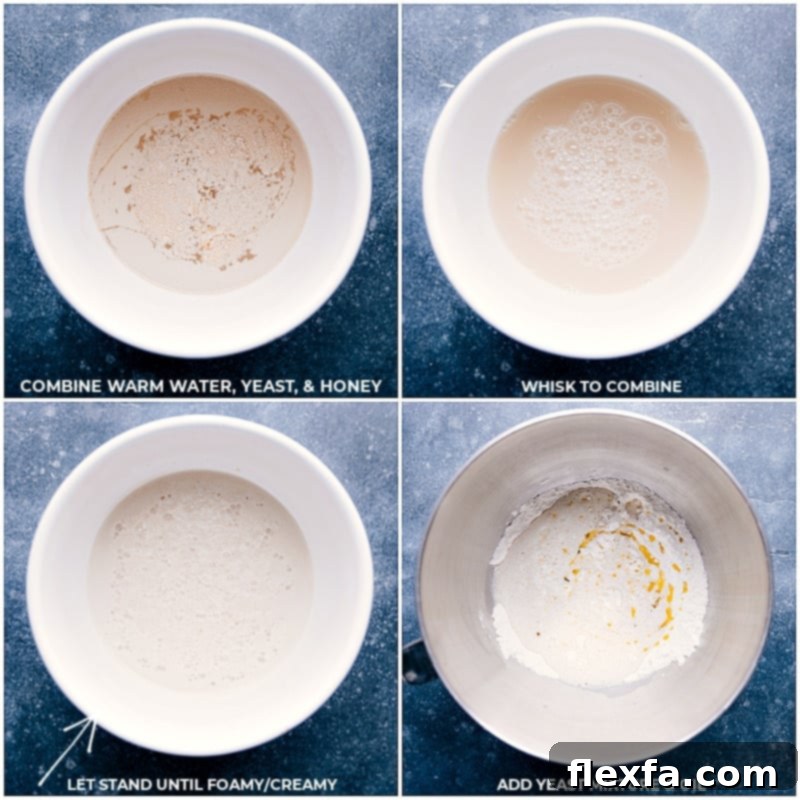 Process shots of the French Bread-- images of the yeast, warm water, honey activating; dough rising; oil being added to the mixture.