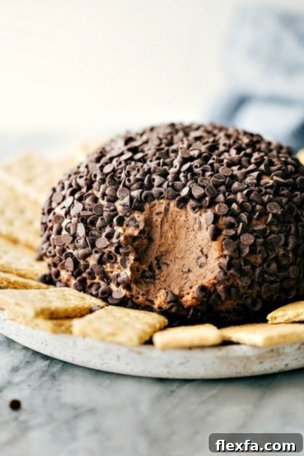 Simple and delicious brownie 'batter' dessert cheese ball covered in chocolate chips with graham crackers surrounding it.