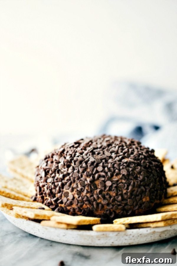 Delicious and gorgeous dessert cheesecake ball soft covered in chocolate chips with graham crackers on the side for dipping.