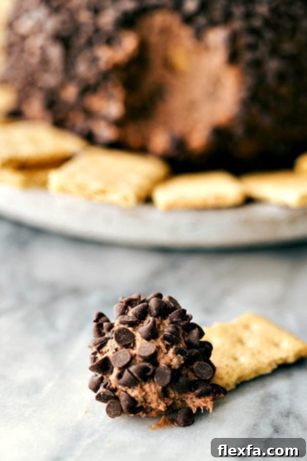 Chocolate chip-studded sweet batter on graham cracker.