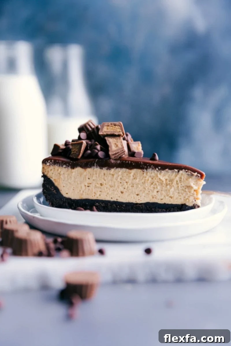 A slice of the delicious and flavor packed no-bake peanut butter cheesecake.
