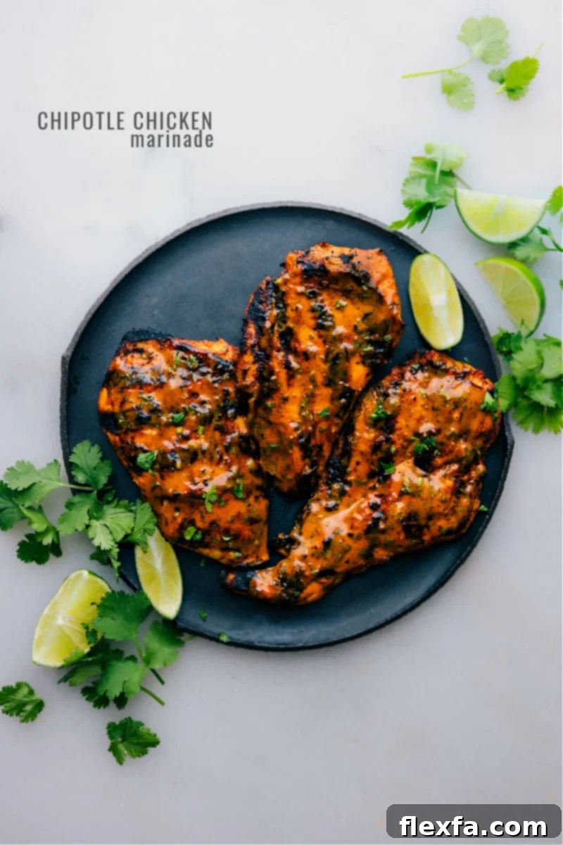 Overhead image of the Chipotle Chicken Marinade with grilled chicken pieces and fresh cilantro
