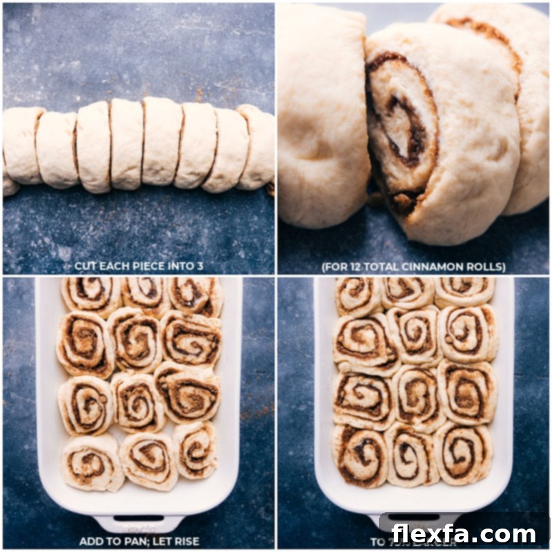 Process shots: Cutting dough into individual rolls, adding them to the pan, and letting them rise again for their final proof.