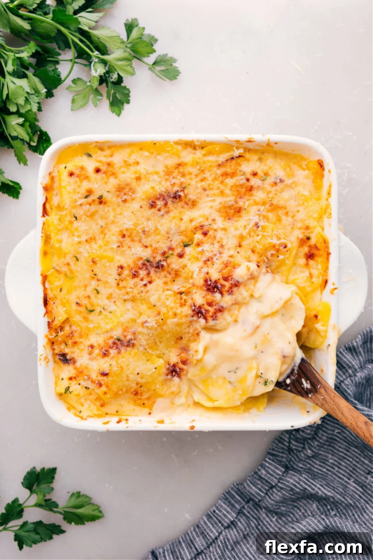 Perfectly baked Au Gratin Potatoes, golden brown and bubbly, fresh out of the oven.