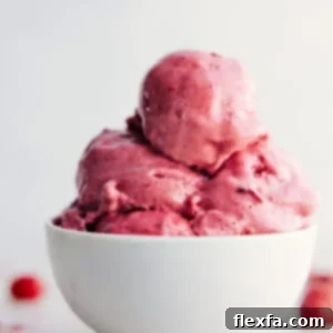 Frozen Yogurt, ready in just 15 minutes, in a bowl ready to be enjoyed.