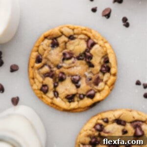 Single Serve Chocolate Chip Cookie baked and ready to be enjoyed.