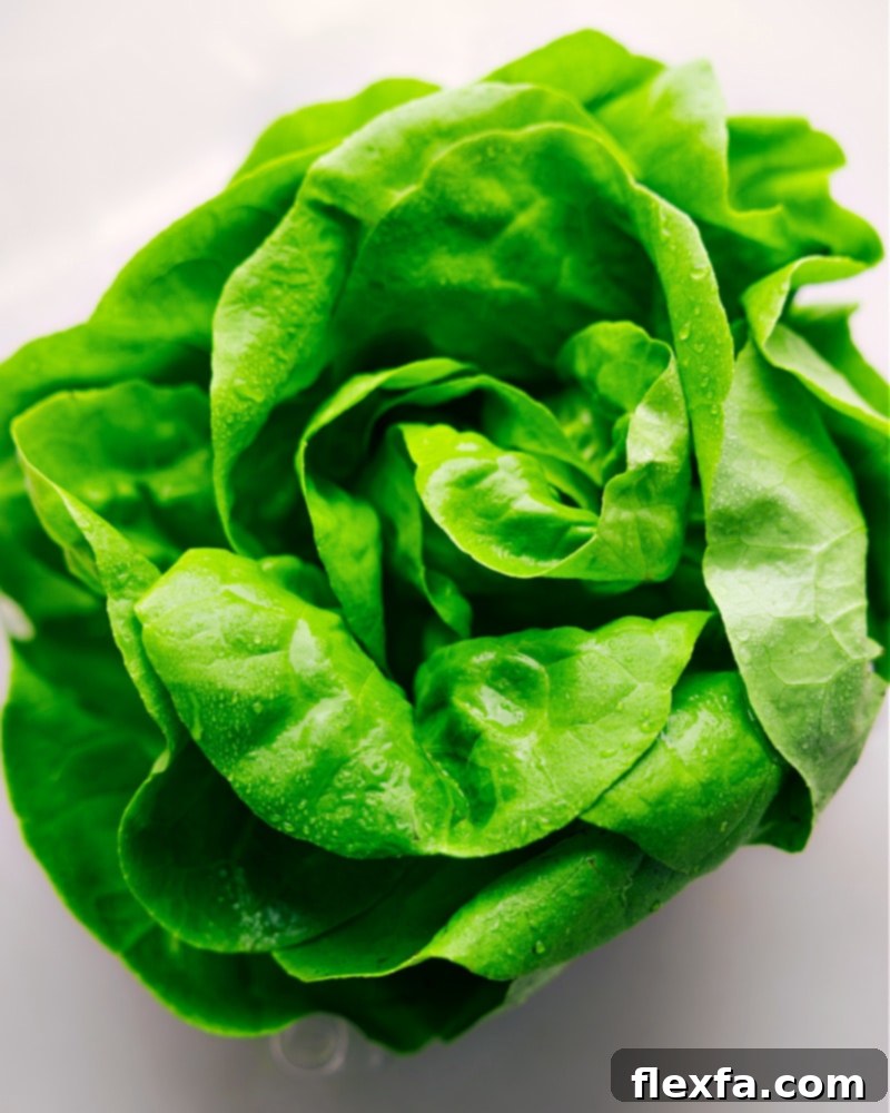 Overhead image of fresh, vibrant butter lettuce leaves, ideal for creating sturdy and delicious lettuce wraps.