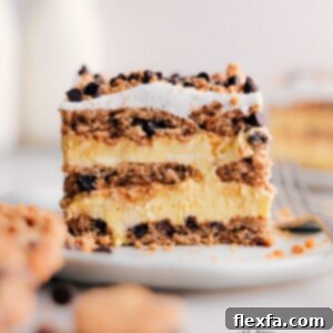 A top-down view of a fully assembled Chocolate Chip Cookie Icebox Cake, showcasing the layers before slicing, garnished with extra chocolate chips.