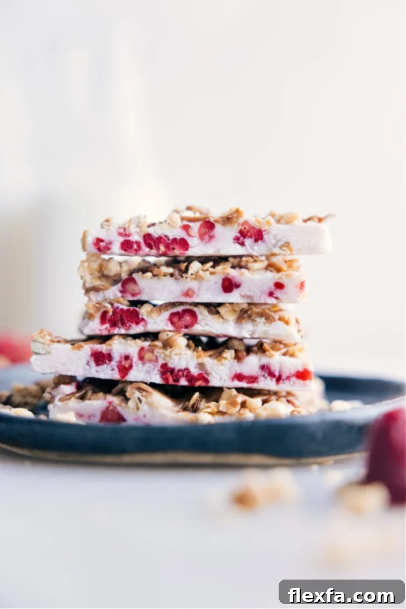 Close-up image of Yogurt Bark pieces, showing the creamy base, red raspberries, and various toppings