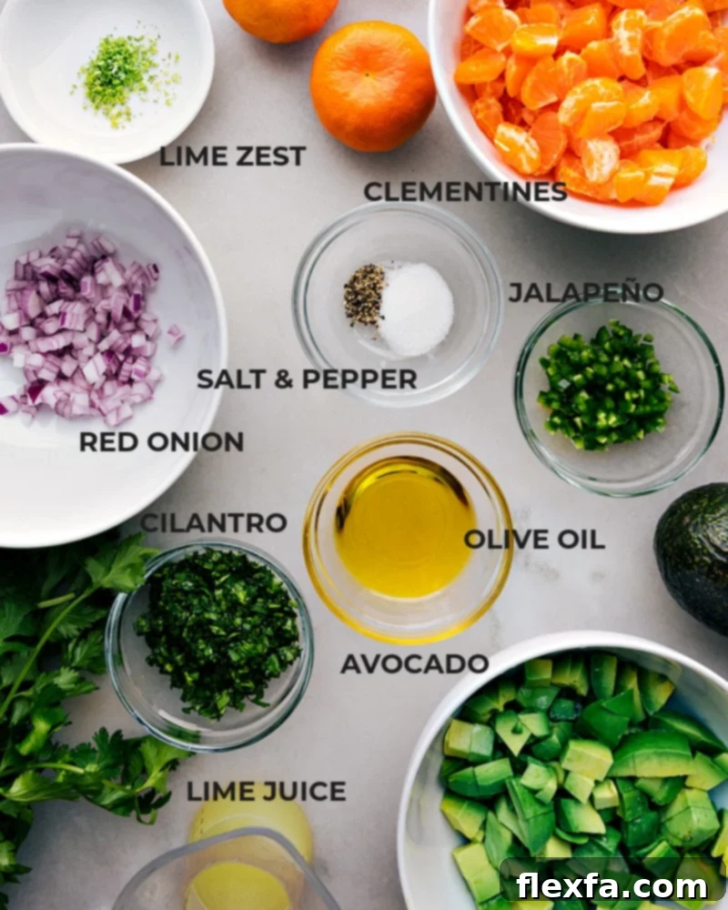 Ingredients for Avocado-Orange Salsa laid out: mandarins, avocados, red onion, jalapeño, cilantro, limes, and olive oil