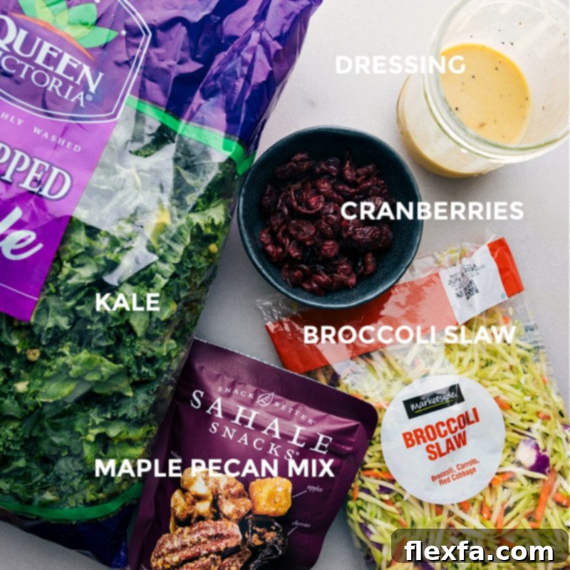 Fresh ingredients for Kale Cranberry Pecan Salad laid out: kale, broccoli slaw, dried cranberries, and maple pecans
