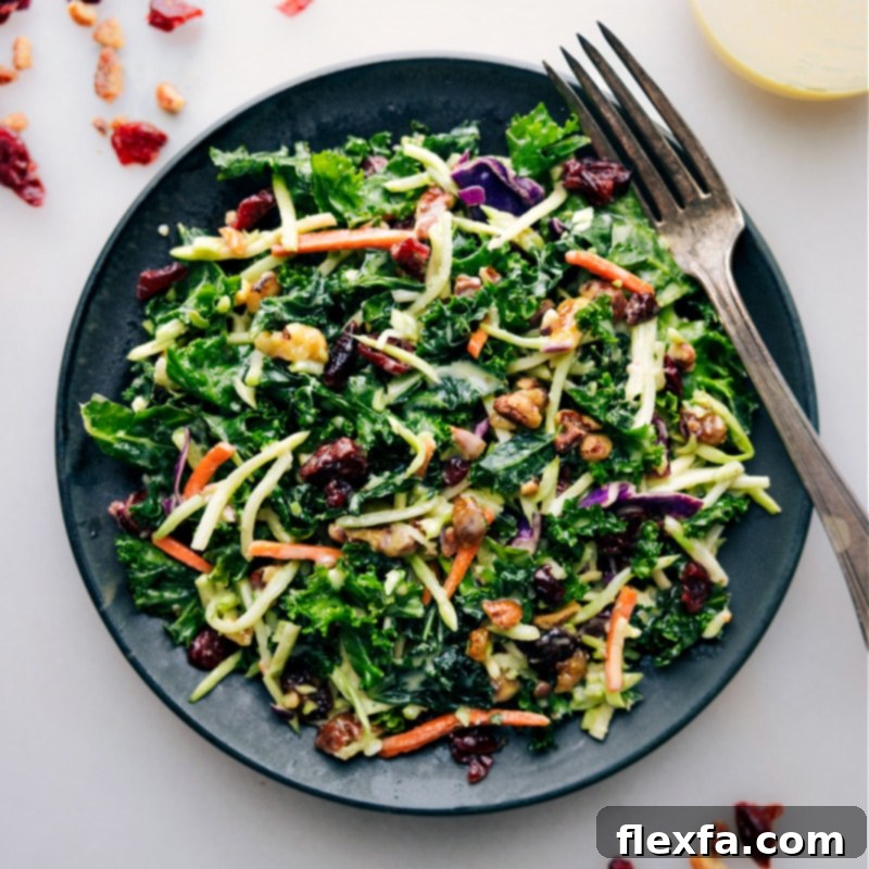 Close-up overhead image of the vibrant and freshly tossed Kale Cranberry Pecan Salad, showcasing its beautiful textures and colors