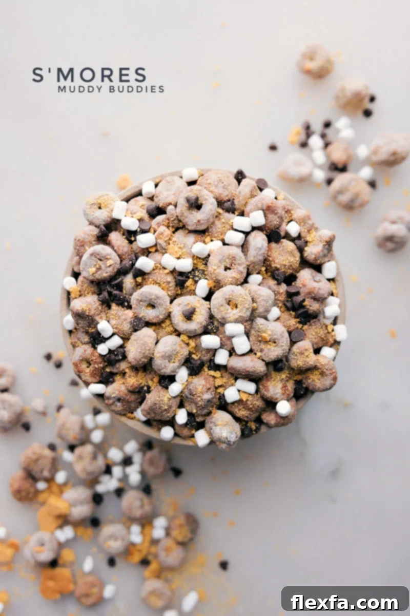 A bowl filled with S'mores Muddy Buddies, featuring chocolate-coated cereal, mini marshmallows, and graham cracker dust, ready to be served.